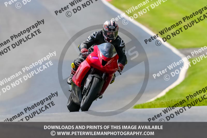 PJ Motorsport Photography 2020;anglesey;brands hatch;cadwell park;croft;donington park;enduro digital images;event digital images;eventdigitalimages;mallory;no limits;oulton park;peter wileman photography;racing digital images;silverstone;snetterton;trackday digital images;trackday photos;vmcc banbury run;welsh 2 day enduro